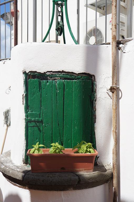 Ring Hostel Forio di Ischia Δωμάτιο φωτογραφία