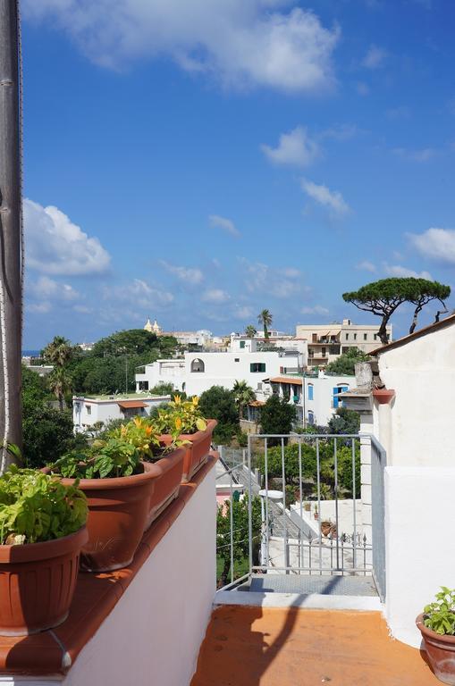 Ring Hostel Forio di Ischia Εξωτερικό φωτογραφία
