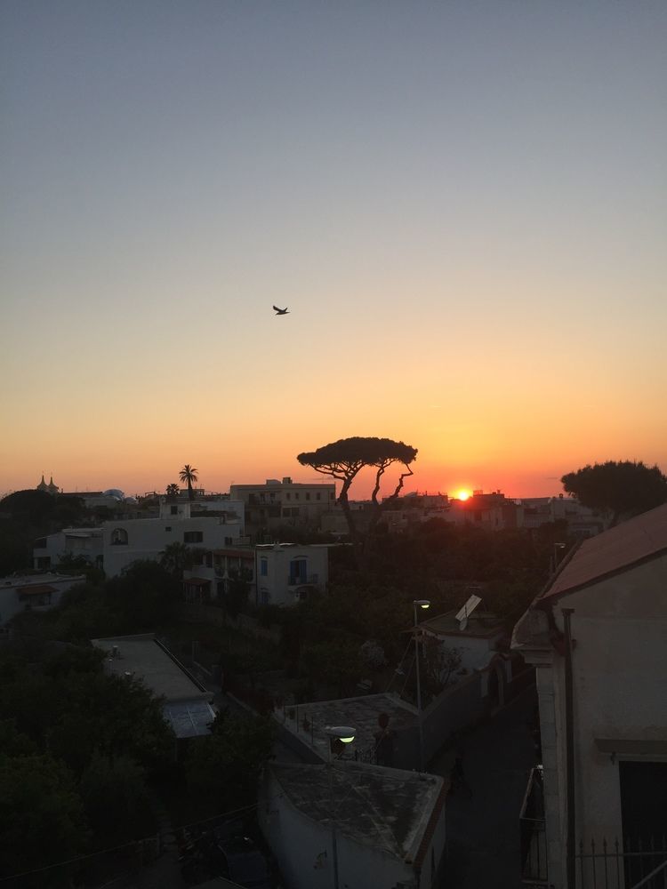 Ring Hostel Forio di Ischia Εξωτερικό φωτογραφία